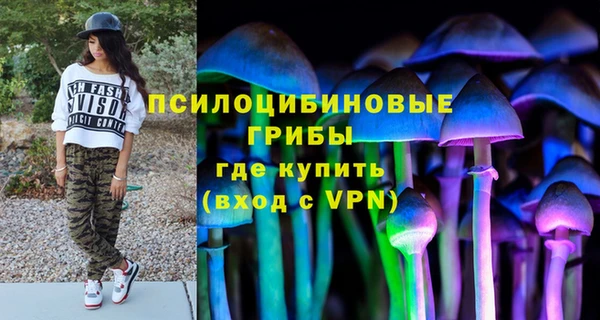 дживик Аркадак