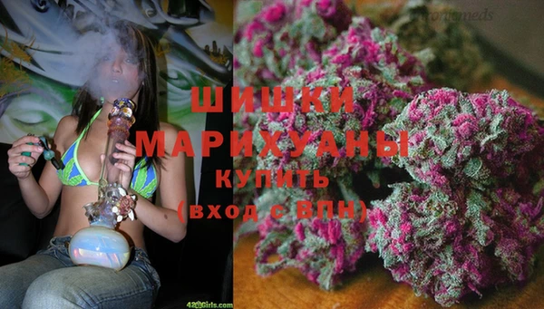 дживик Аркадак