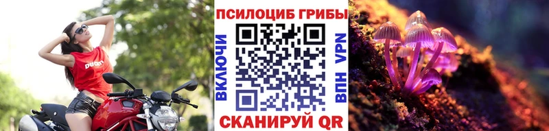 mega рабочий сайт  Урус-Мартан  Псилоцибиновые грибы мицелий  хочу  