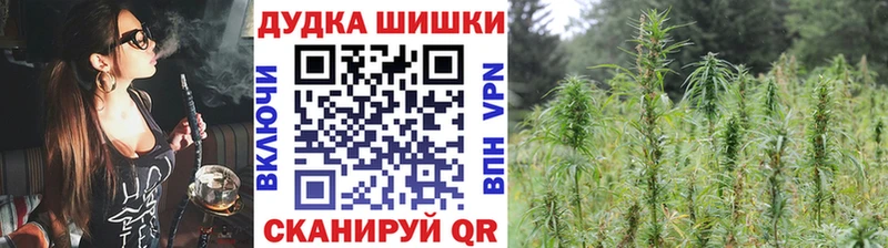 Шишки марихуана семена  Урус-Мартан 